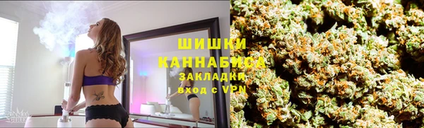 прущий лед Белокуриха