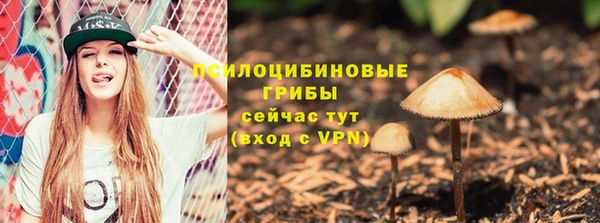 прущие крисы Беломорск