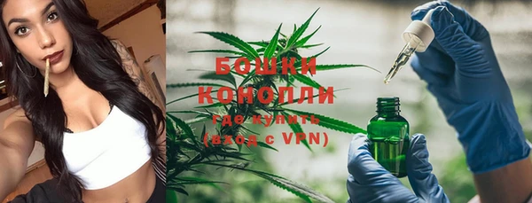 прущий лед Белокуриха